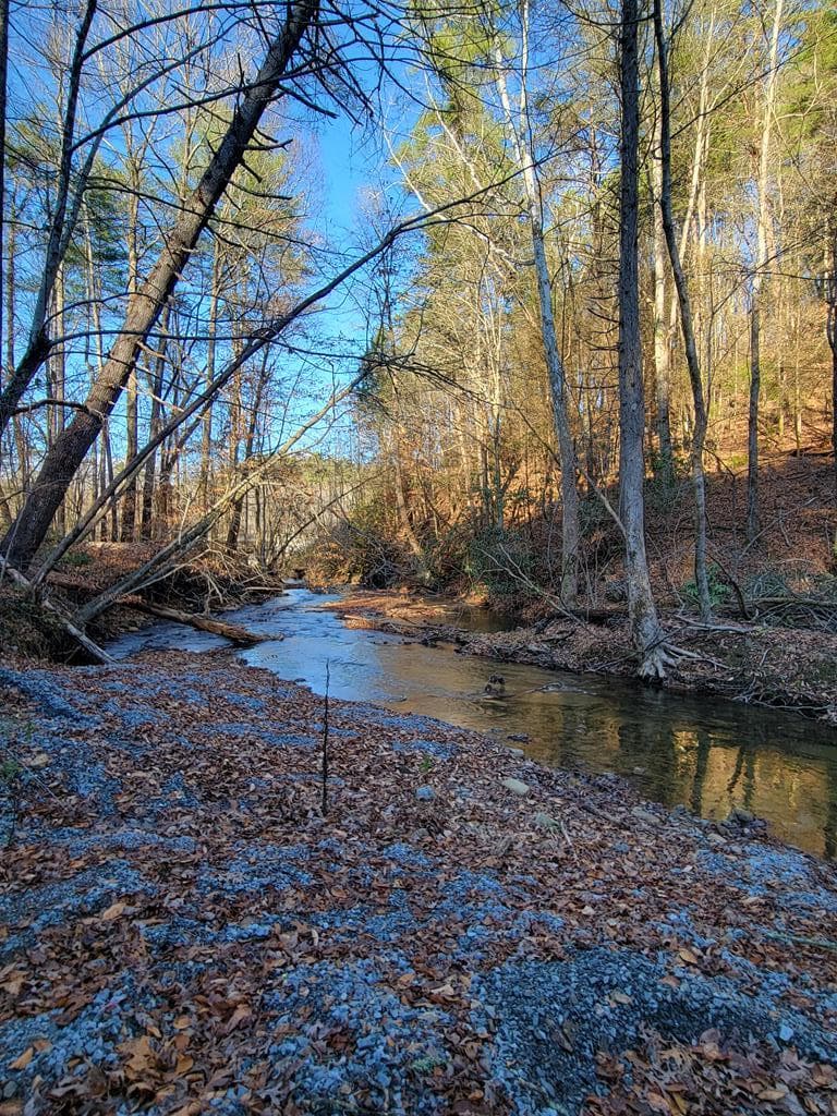 68 Mountaingate Way, Ellijay GA 30536 - Photo
