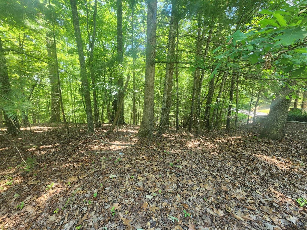 Lot 3 Meadow View Drive, Morganton GA 30560 - Photo