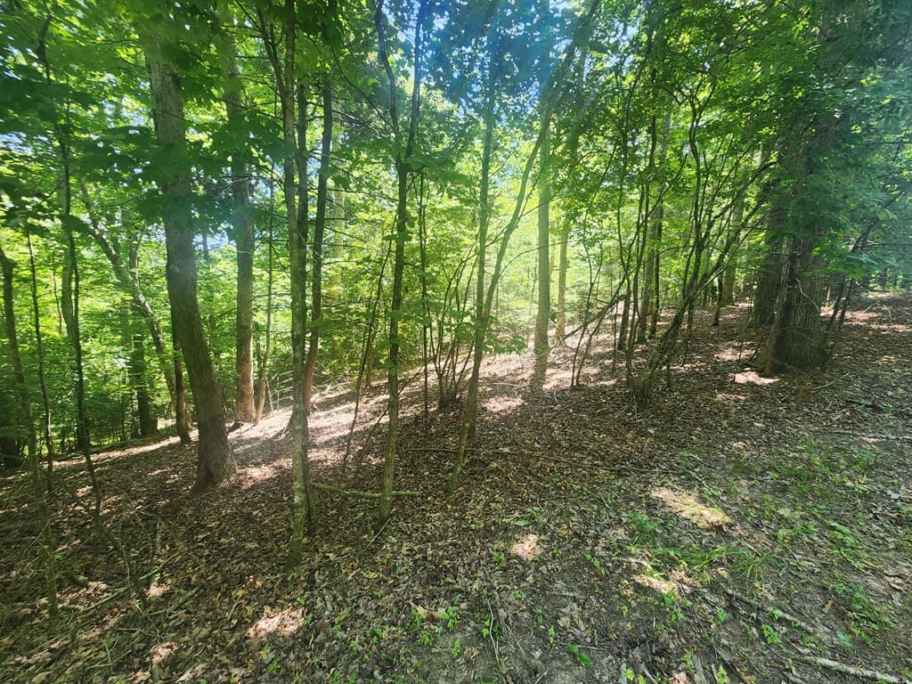 Lot 3 Meadow View Drive, Morganton GA 30560 - Photo