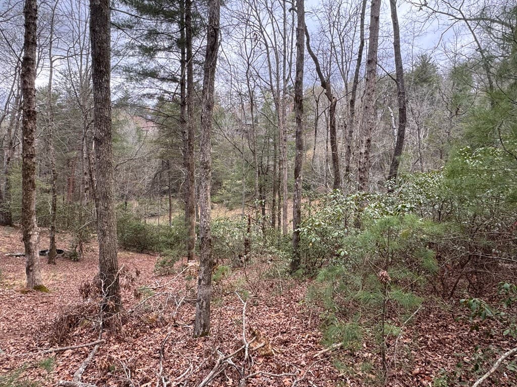 Lot 43 Seneca Drive, Ellijay GA 30540 - Photo