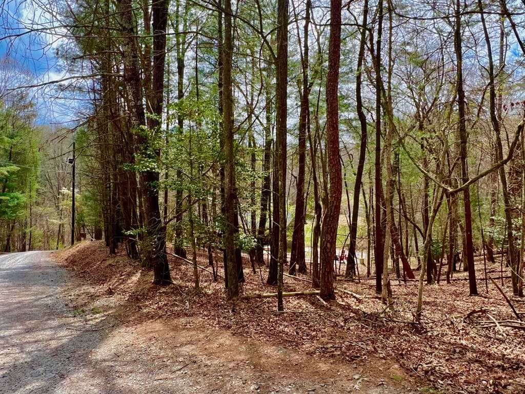 525 Camber Court, Ellijay GA 30540 - Photo