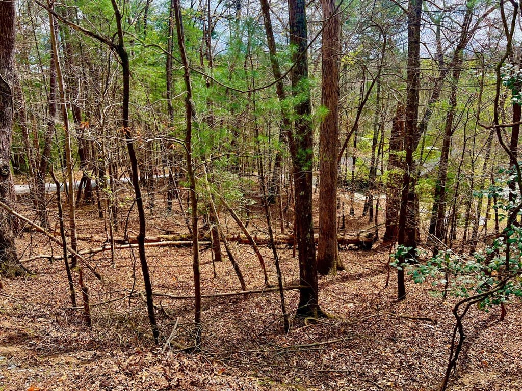 525 Camber Court, Ellijay GA 30540 - Photo