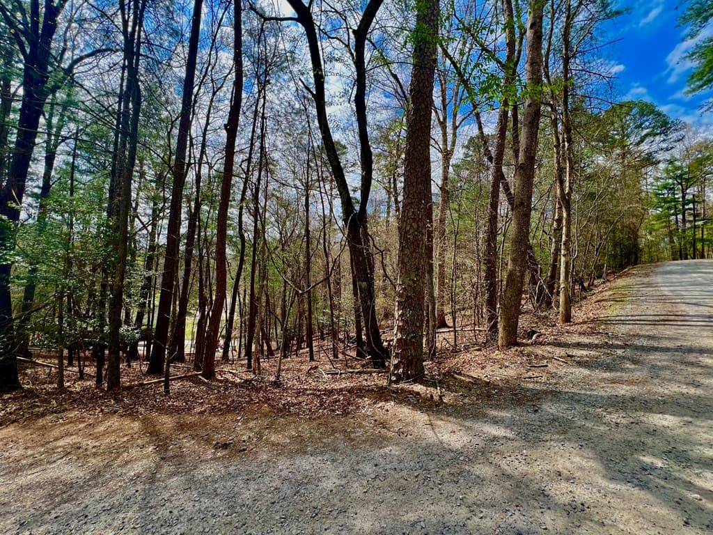 525 Camber Court, Ellijay GA 30540 - Photo