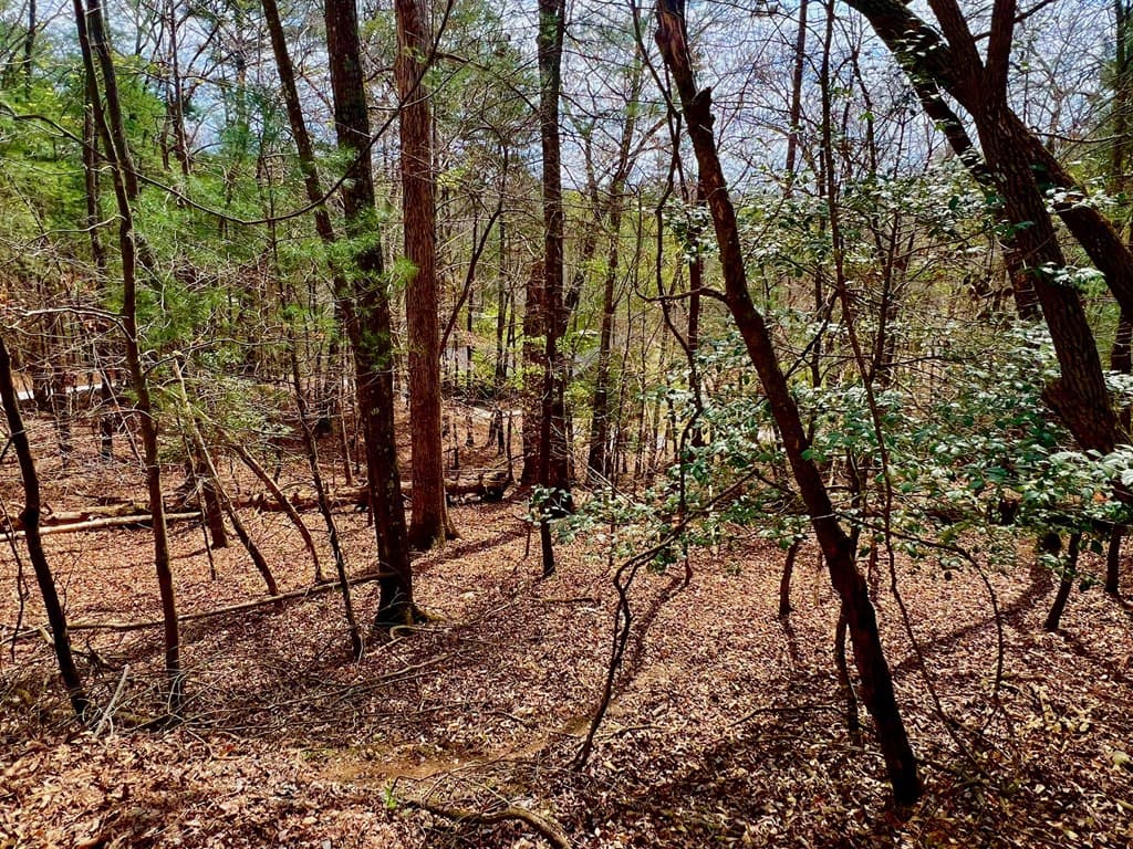 525 Camber Court, Ellijay GA 30540 - Photo