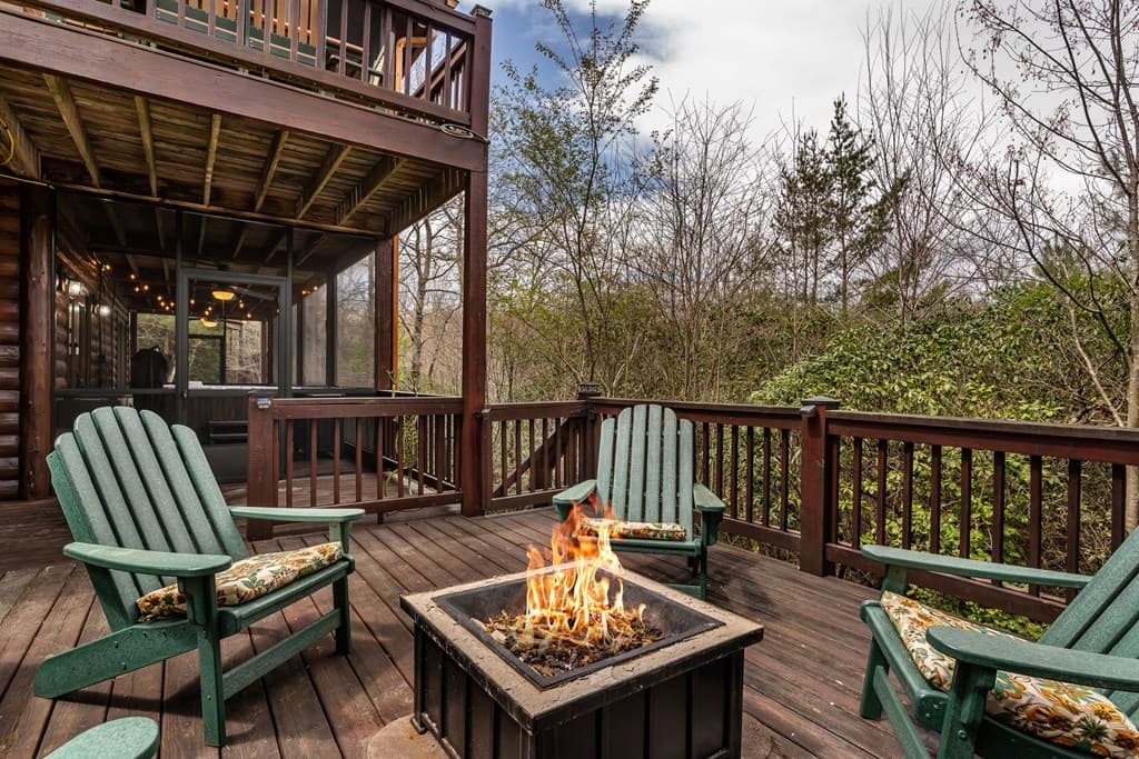 283 Black Gum Lane, Blue Ridge GA 30513 - Photo