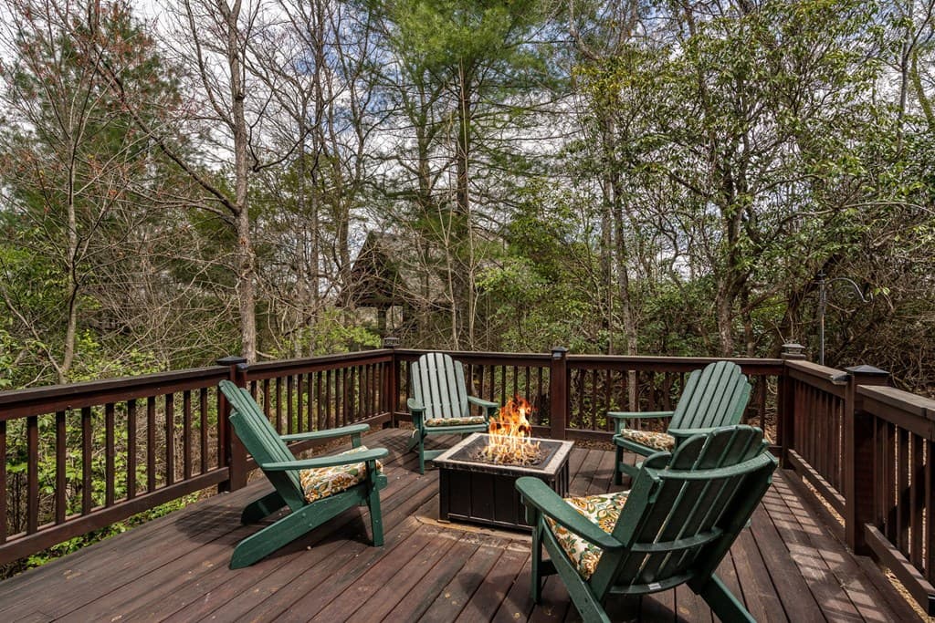 283 Black Gum Lane, Blue Ridge GA 30513 - Photo