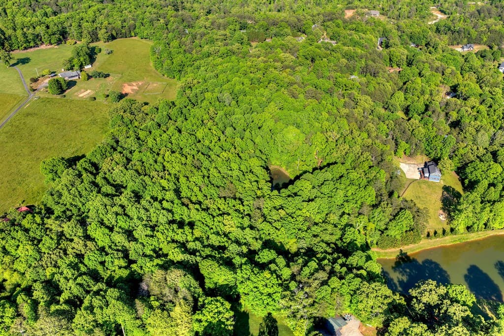 8.52 AC Mcnelley Road, Morganton GA 30560 - Photo