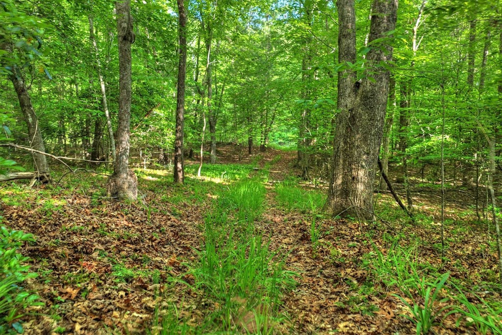 8.52 AC Mcnelley Road, Morganton GA 30560 - Photo