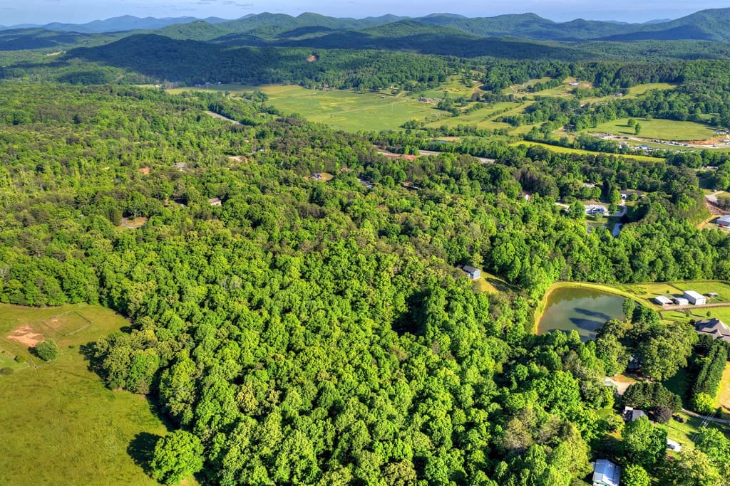 8.52 AC Mcnelley Road, Morganton GA 30560 - Photo