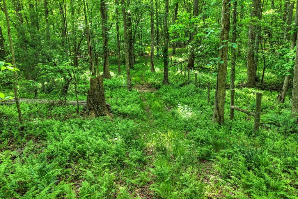8.52 AC Mcnelley Road, Morganton GA 30560 - Photo