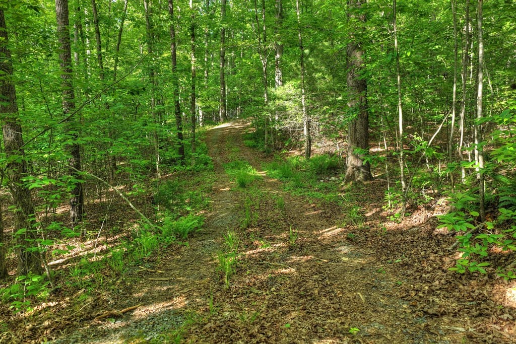 8.52 AC Mcnelley Road, Morganton GA 30560 - Photo