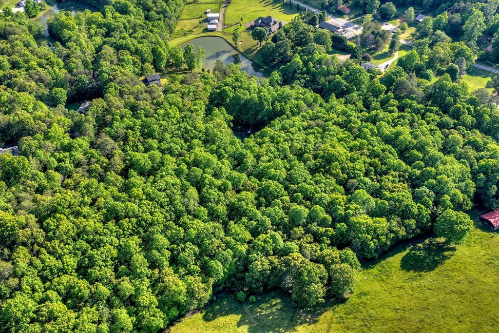 8.52 AC Mcnelley Road, Morganton GA 30560 - Photo