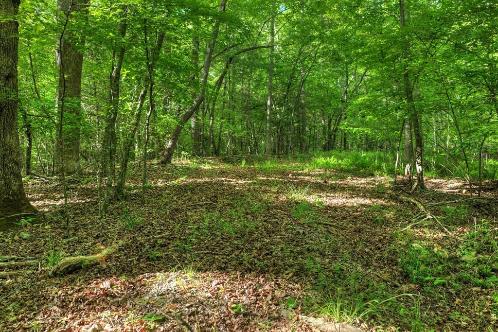 8.52 AC Mcnelley Road, Morganton GA 30560 - Photo