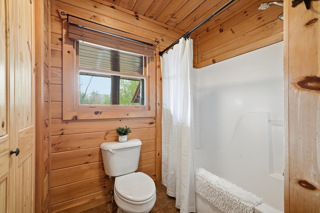 133 Dallas Lane, Blue Ridge GA 30513 - Photo
