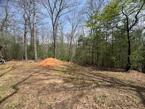 22 & 26 Ao Lane, Morganton GA 30560 - Photo