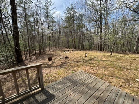 22 & 26 Ao Lane, Morganton GA 30560 - Photo