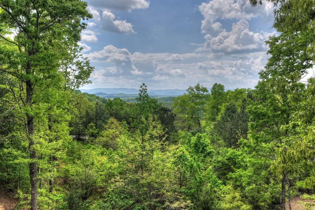 560 Endless View Road, Mineral Bluff GA 30559 - Photo