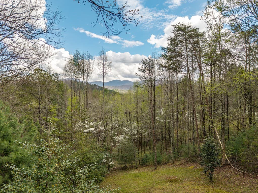 238 Cedar Ridge Road, Cherry Log GA 30522 - Photo