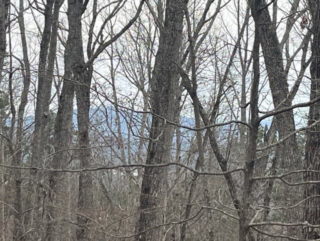0 Brumby Run, Blairsville GA 30512 - Photo