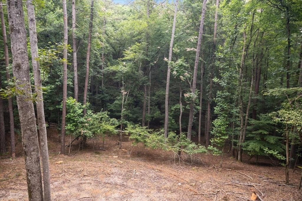 129 Monticello Drive, Ellijay GA 30540 - Photo
