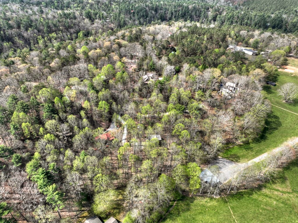 186 Stegall Mill Trail, Ellijay GA 30536 - Photo
