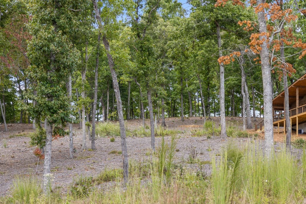 Lot 88 Split Creek Road, Morganton GA 30560 - Photo