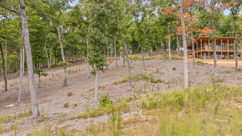 Lot 88 Split Creek Road, Morganton GA 30560 - Photo