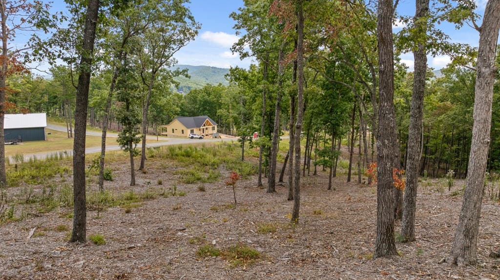 Lot 88 Split Creek Road, Morganton GA 30560 - Photo
