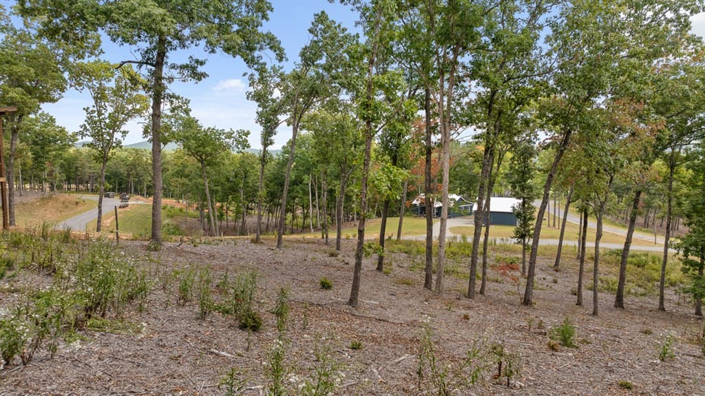 Lot 88 Split Creek Road, Morganton GA 30560 - Photo