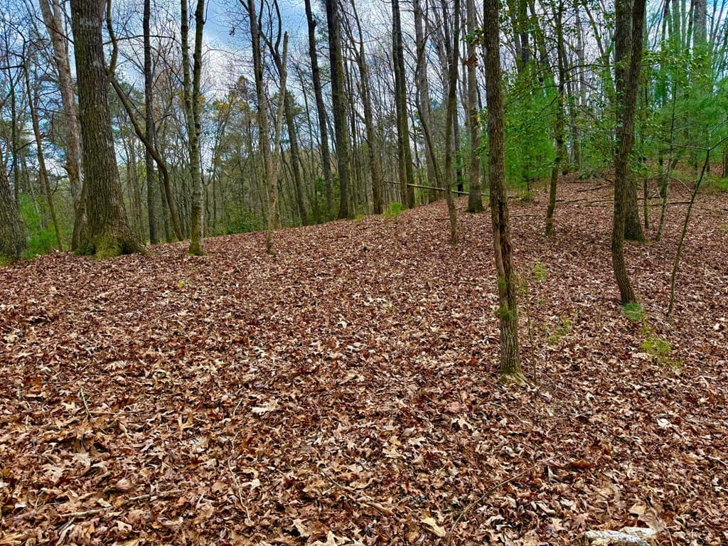 739 Hiawassee Court, Ellijay GA 30540 - Photo