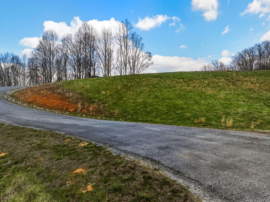 Lot 43 Big Valley Drive, Morganton GA 30560 - Photo