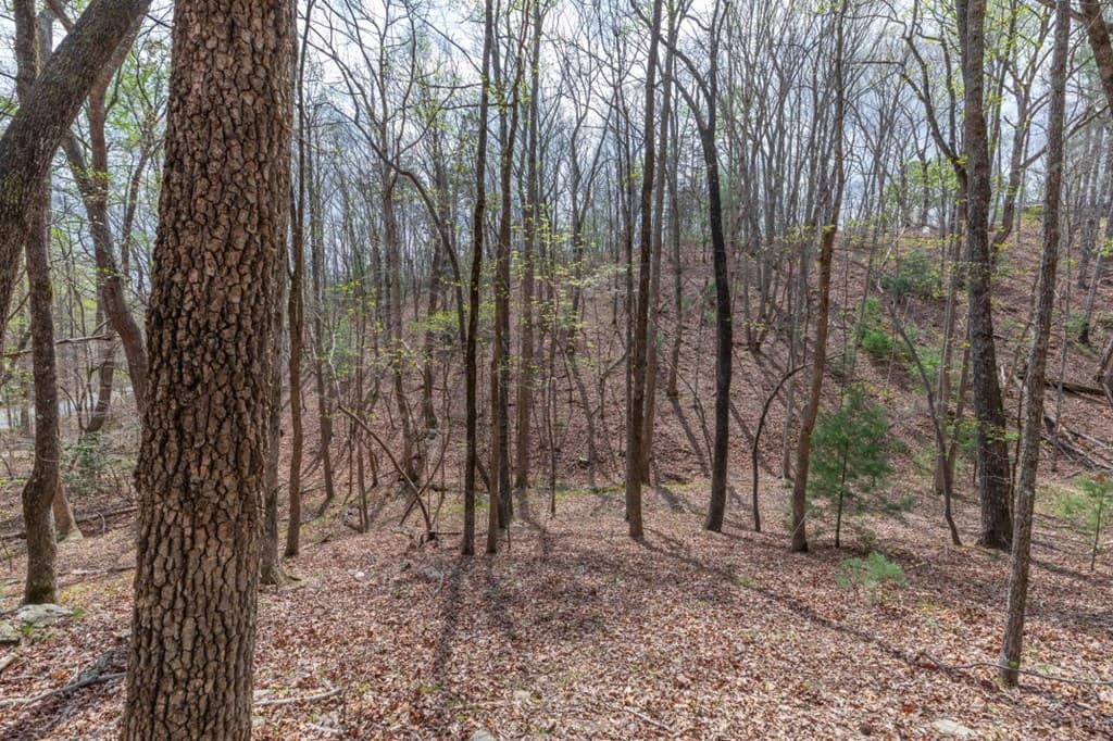 Lot 6B Glenridge Way, Ellijay GA 30540 - Photo