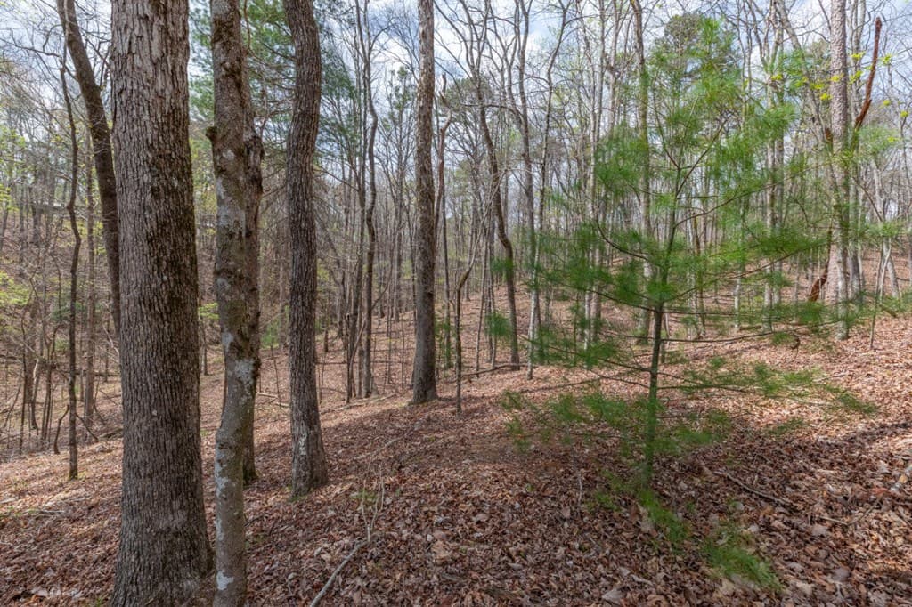 Lot 6B Glenridge Way, Ellijay GA 30540 - Photo