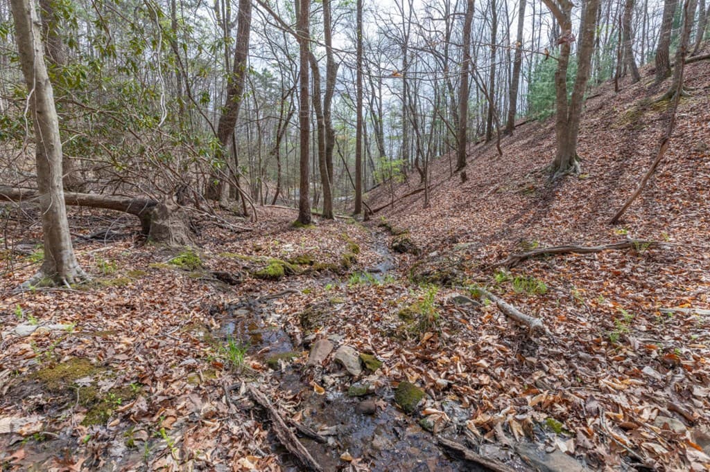 Lot 6B Glenridge Way, Ellijay GA 30540 - Photo