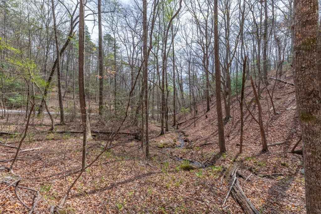 Lot 6B Glenridge Way, Ellijay GA 30540 - Photo