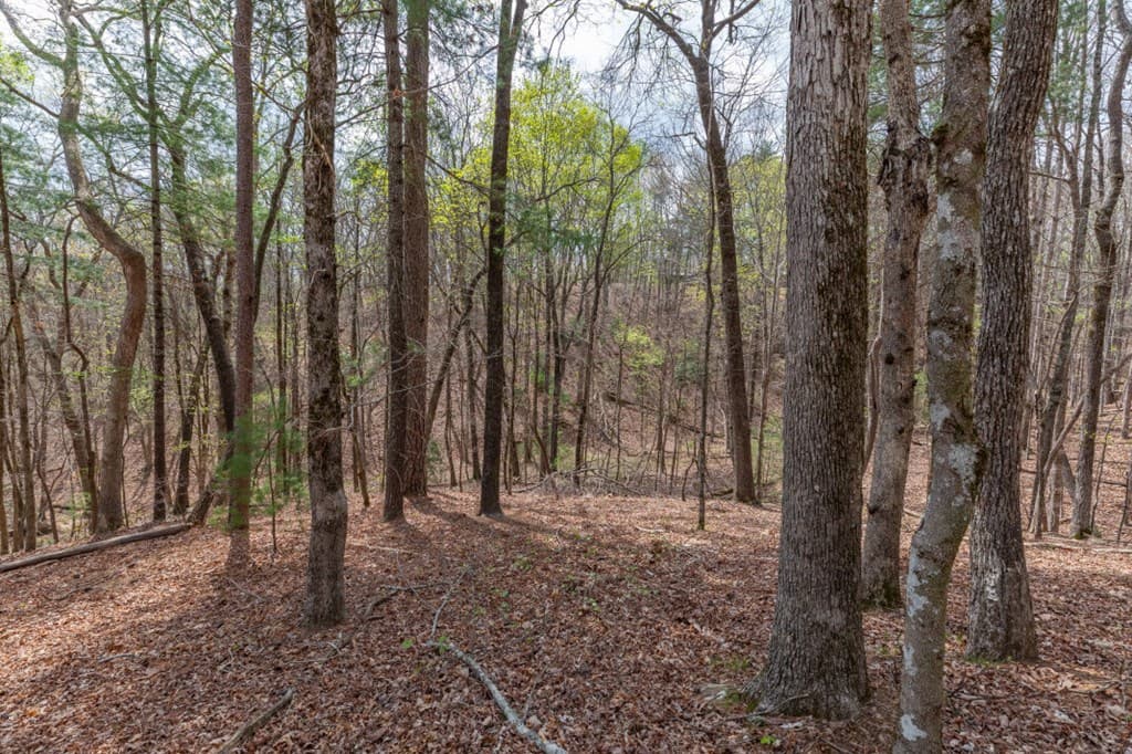 Lot 6B Glenridge Way, Ellijay GA 30540 - Photo
