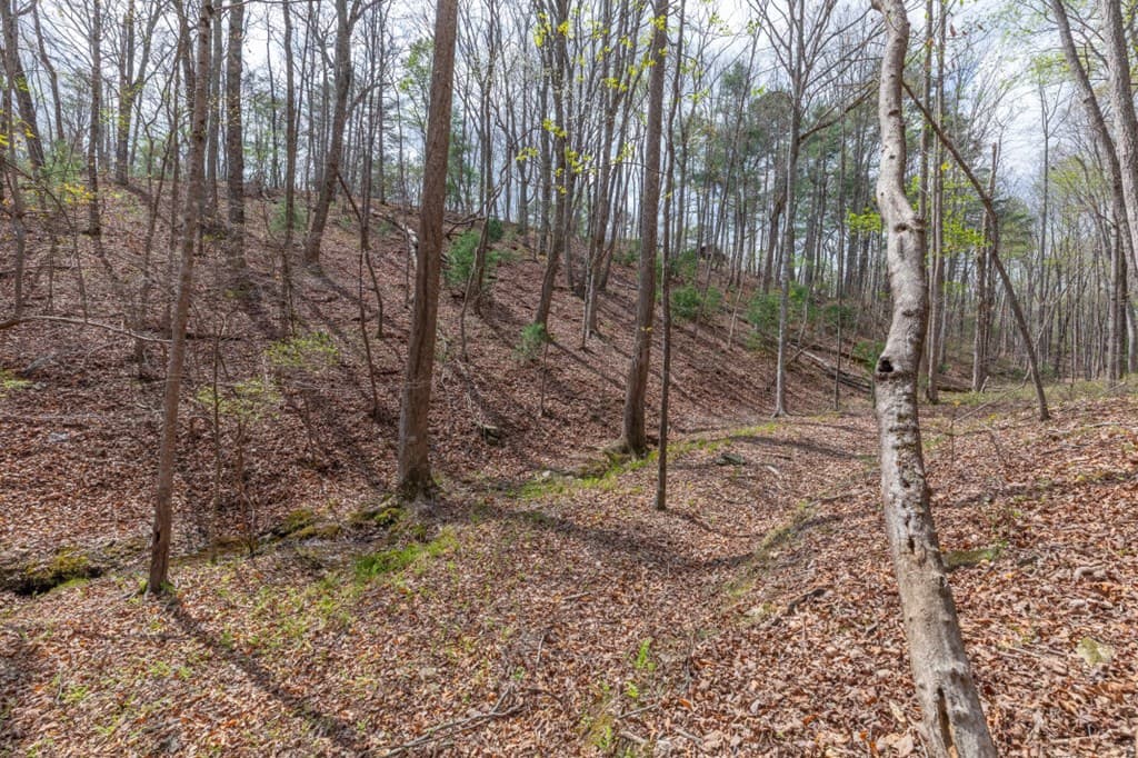 Lot 6B Glenridge Way, Ellijay GA 30540 - Photo