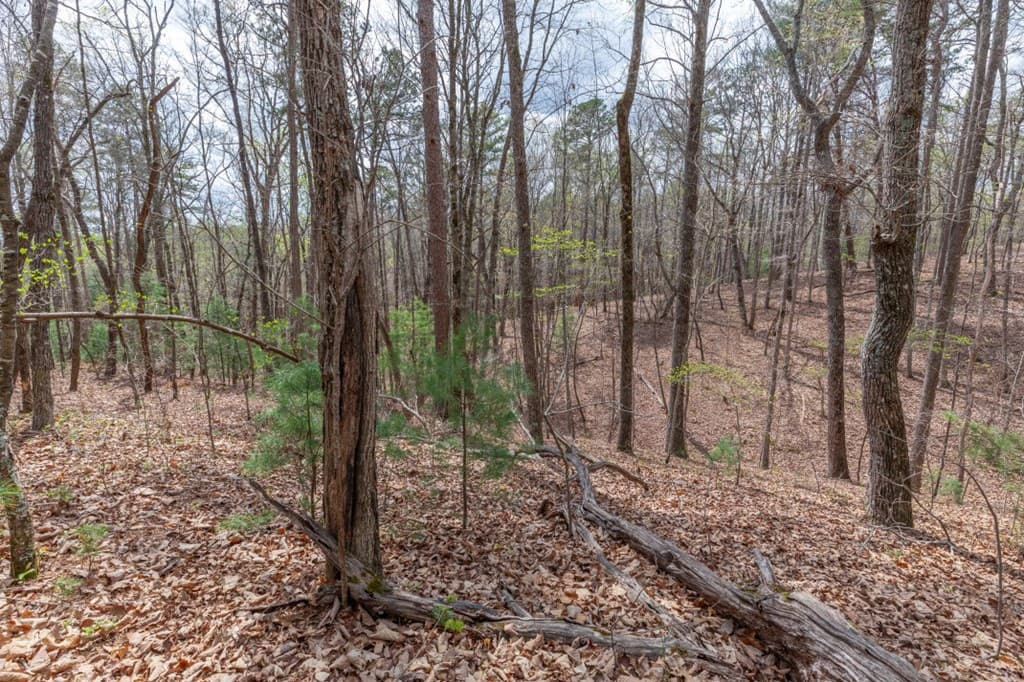 Lot 7A Glenridge Way, Ellijay GA 30540 - Photo