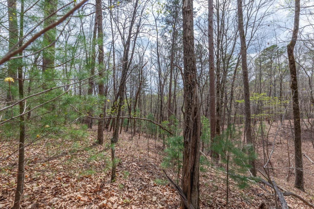 Lot 7A Glenridge Way, Ellijay GA 30540 - Photo
