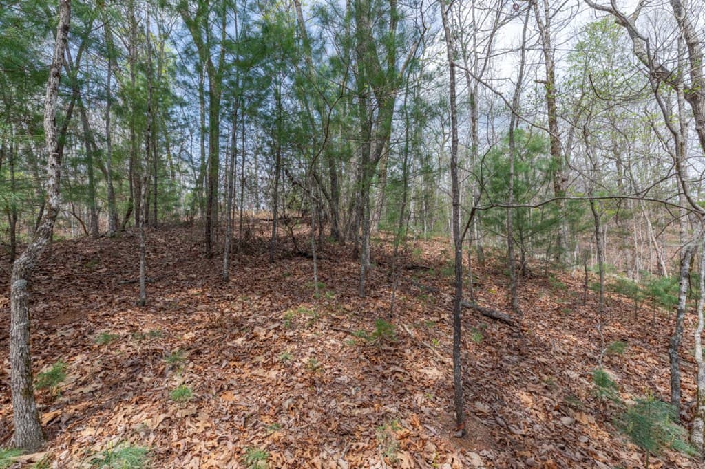 Lot 7A Glenridge Way, Ellijay GA 30540 - Photo