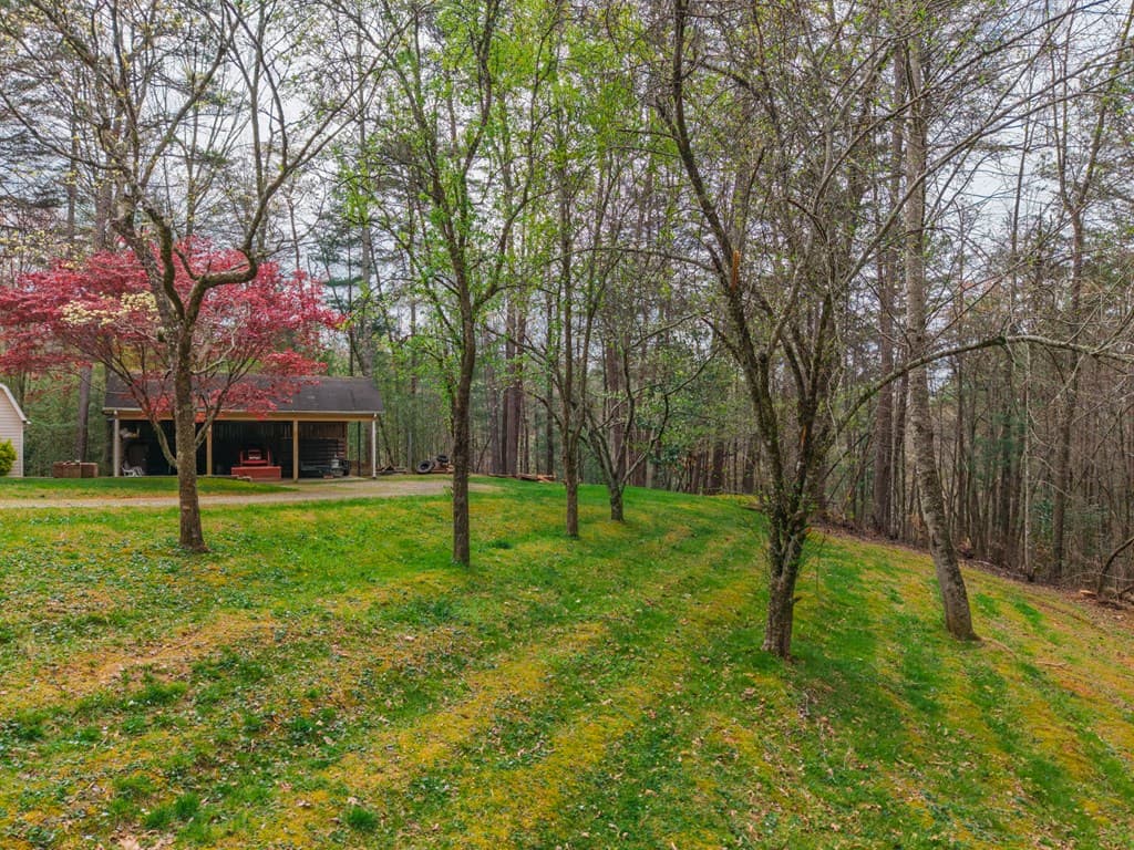 365 Quarles Lane, Ellijay GA 30540 - Photo