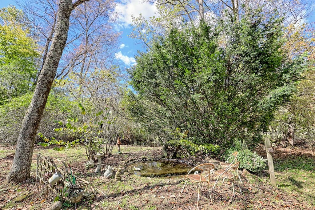 1064 Muskrat Creek Road, Hayesville NC 28904 - Photo