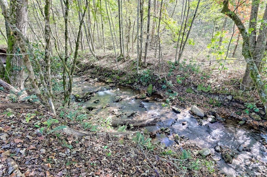 1064 Muskrat Creek Road, Hayesville NC 28904 - Photo