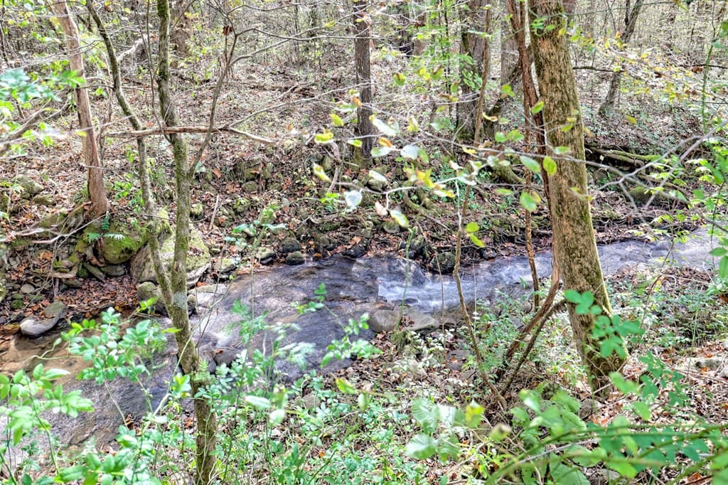 1064 Muskrat Creek Road, Hayesville NC 28904 - Photo