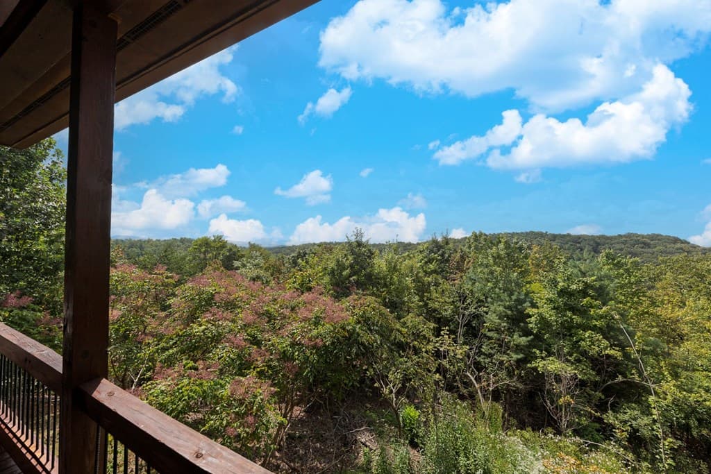 499 Raven Ridge Circle, Mineral Bluff GA 30559 - Photo