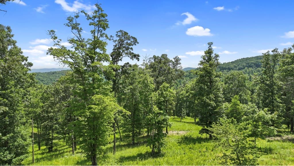 LT 11 Haven Way, Blue Ridge GA 30513 - Photo