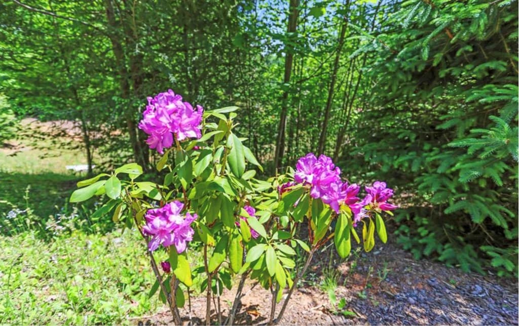 LT 11 Haven Way, Blue Ridge GA 30513 - Photo