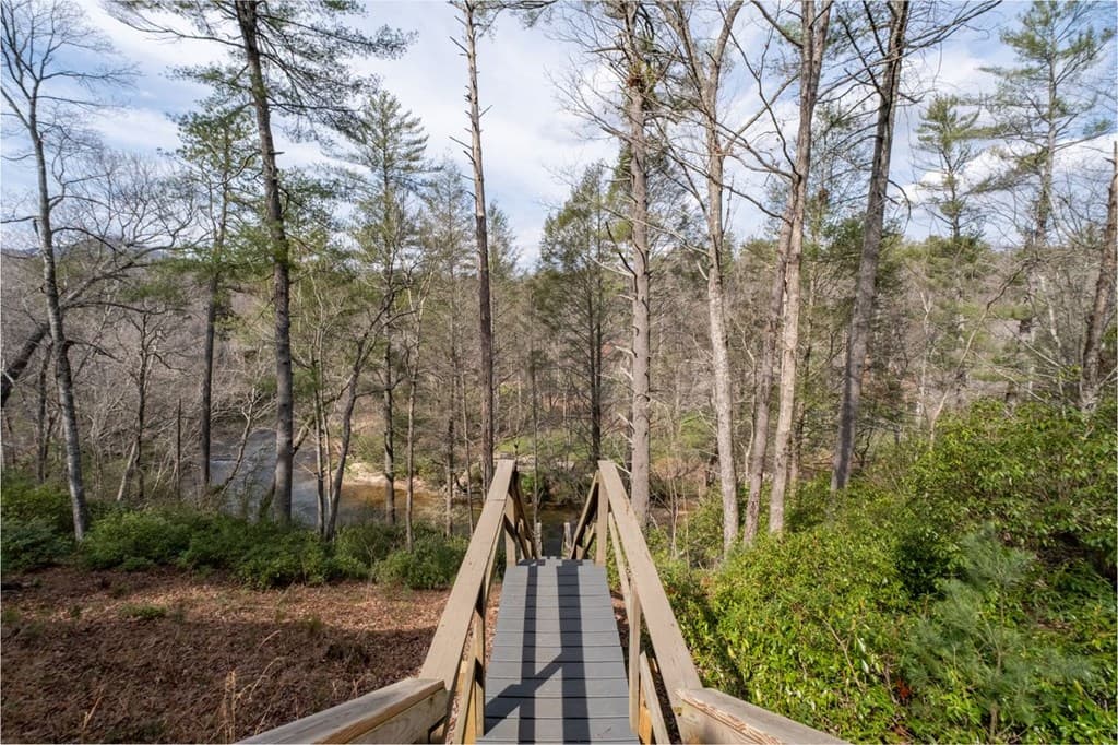 858 River Forest Run, Cleveland GA 30528 - Photo