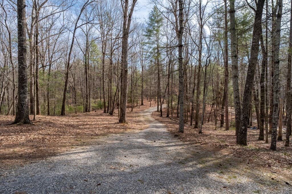 858 River Forest Run, Cleveland GA 30528 - Photo