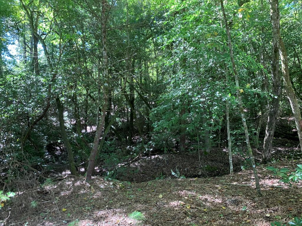 Lot 173 Highland Park, Blairsville GA 30512 - Photo